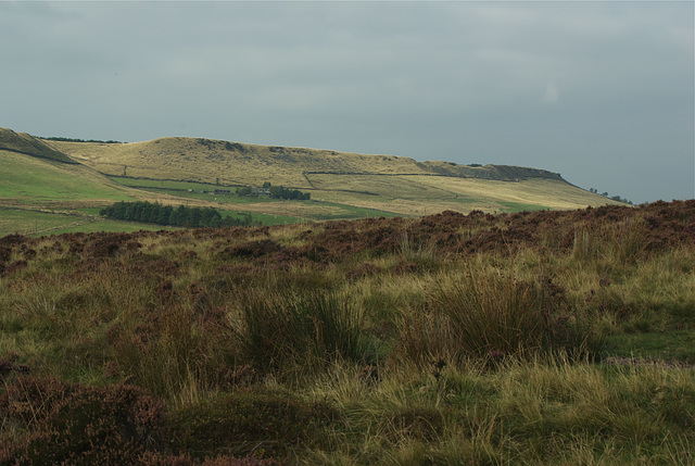 Cown edge from Matley Moor