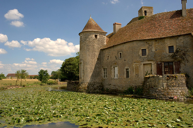 Les douves du Château de Sagonne