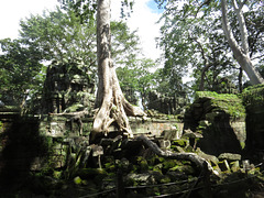 Ta prohm : cour de la 2e enceinte.