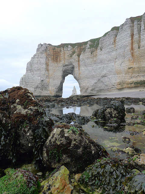 Porte-Aiguille .