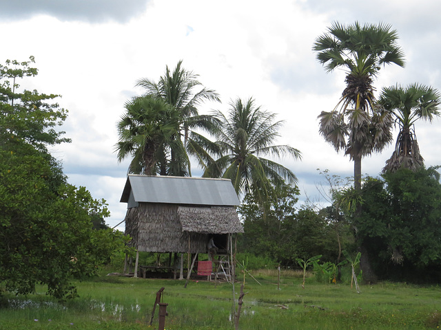 Retour sur Siem Reap : maison sur pilotis.