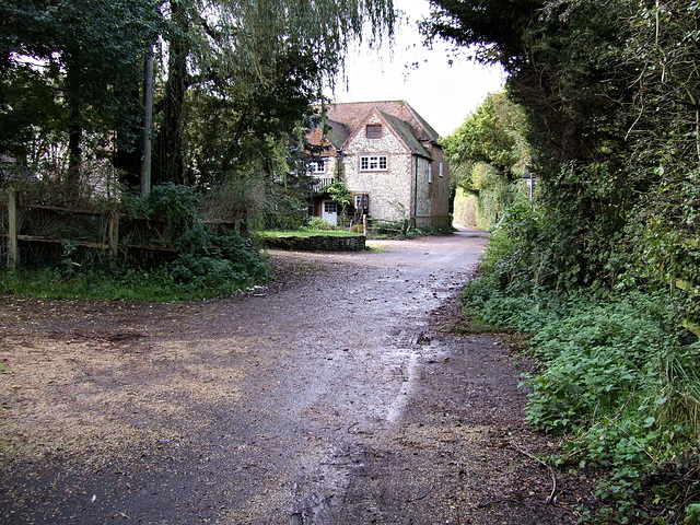 The old lane between Tongham and Runfold