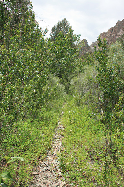 Toiyabe Crest Trail