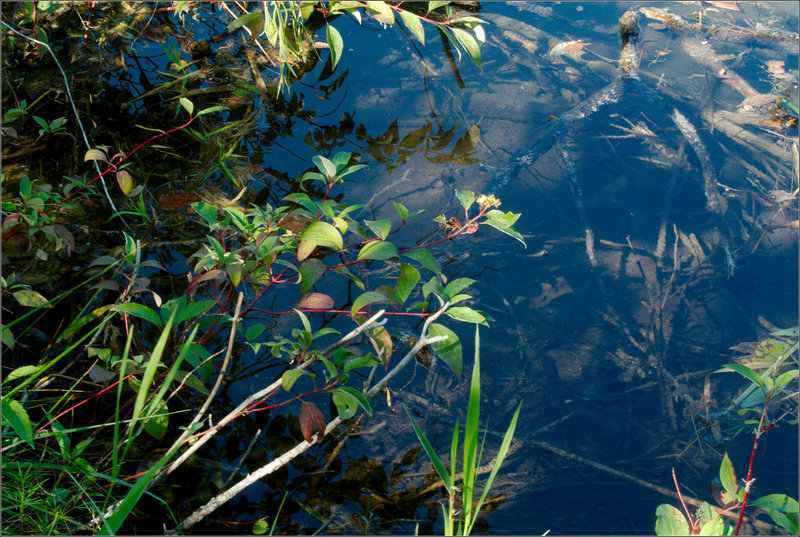 Layers: The Park Under Peterson Bridge