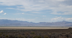 Black Rock Desert, NV Soldiers Meadow Road (0169)