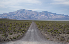 Black Rock Desert, NV Soldiers Meadow Road (0171)