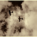 wawdaug232014 (1248)