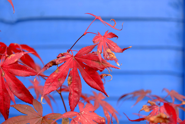 Autumn approaches 2