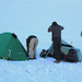 Camping on the Glacier