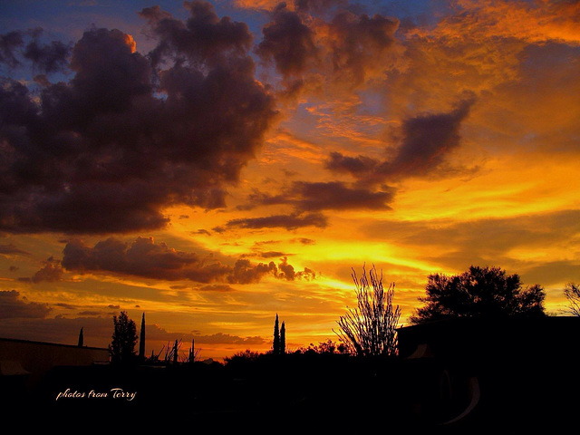 One of those Beautiful Tucson Sunsets