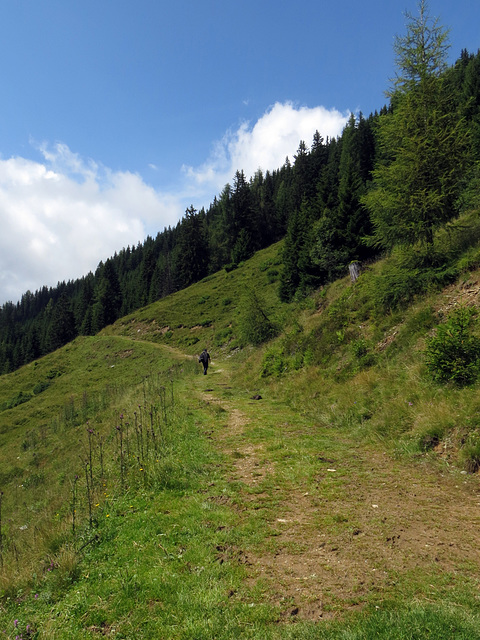 Schöner Weg!