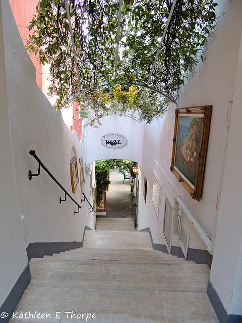 Positano Stairway to Max 052014