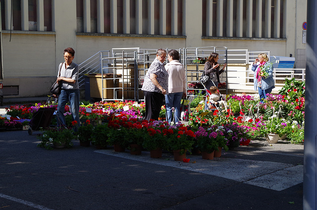 Villefranche sur Saône - le marché aux fleurs