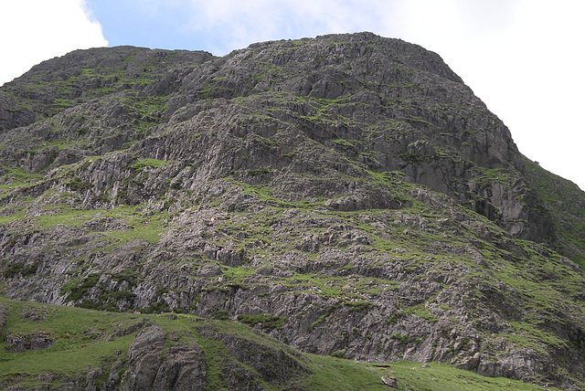 Harrison Stickle