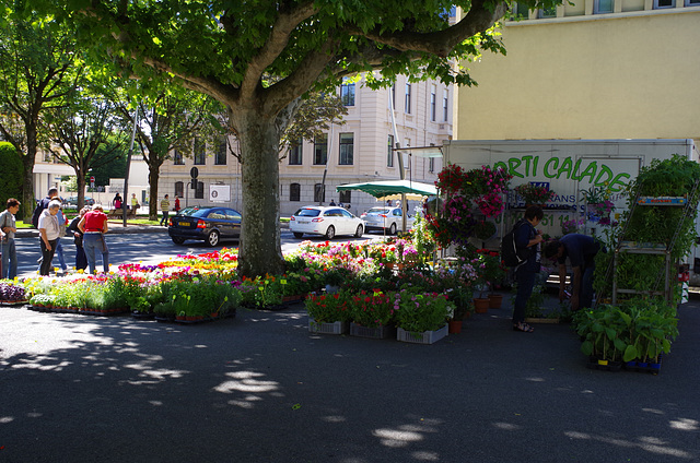 Villefranche sur Saône - le marché aux fleurs