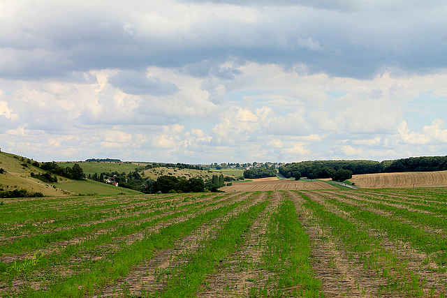 à travers champ