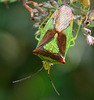 DSC 0070
