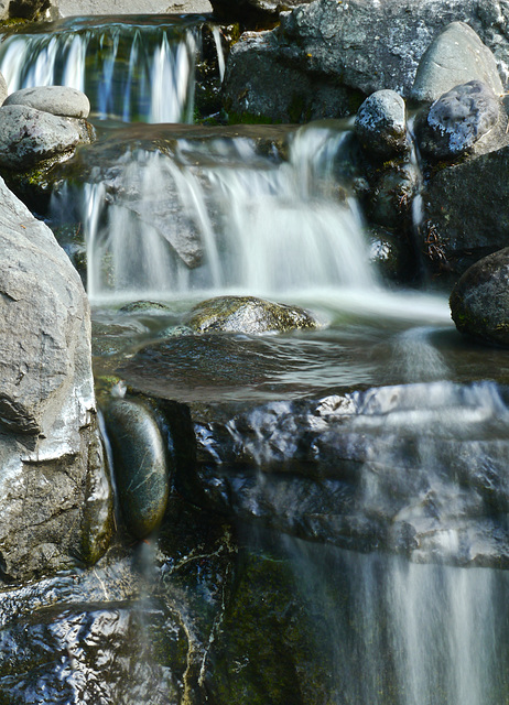 The Sunday Challenge - Water