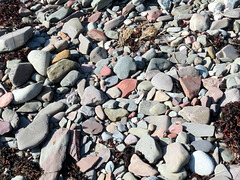 A stony beach