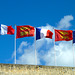 Caen 2014 – French and Normandy ﬂags