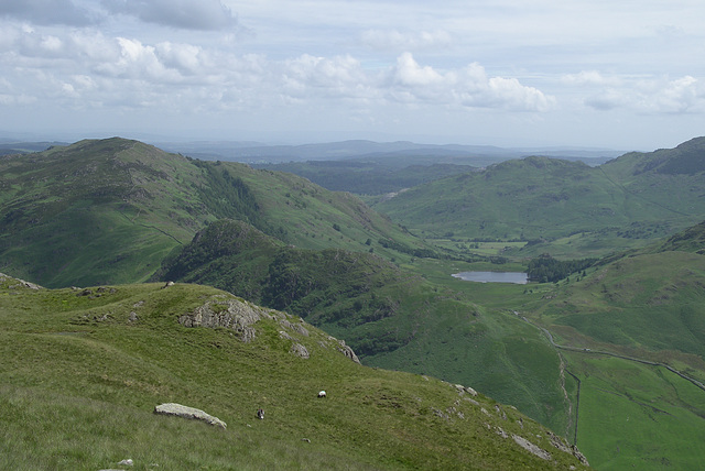 Side Pike and Blea Tarn