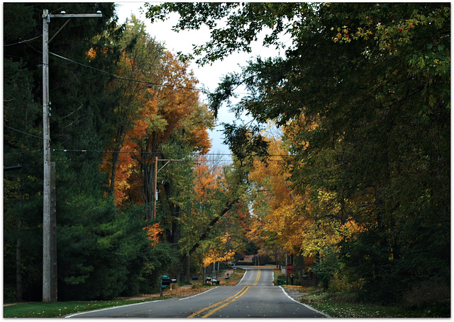 Fall in my neighbourhood