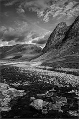 Sunny Glencoe.