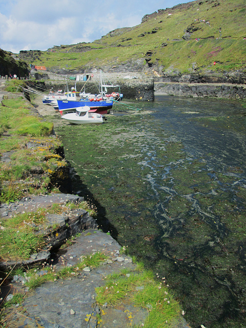 Harbour, Boscastle.