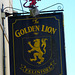 'Golden Lion'