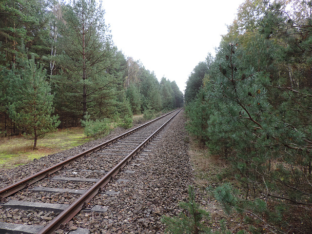 Erlebnisbahn bei Kummersdorf-Gut