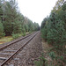 Erlebnisbahn bei Kummersdorf-Gut