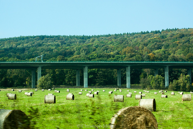 Herbstausflug V