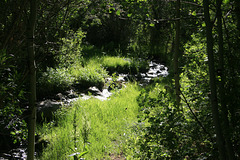 Washington Creek