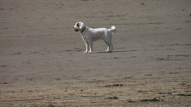 He'd caught his ball, now all he wanted was for his family to reach him