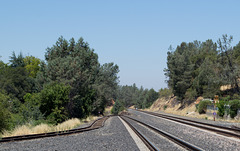 Newcastle, CA Union Pacific  (0275)