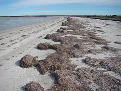 A peaceful beach