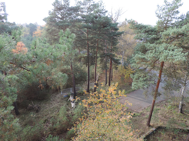 Blick aus dem 4.Stock einer GSSD-Kaserne