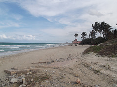 Life at cuban beach / La belle vie sur une plage cubaine.