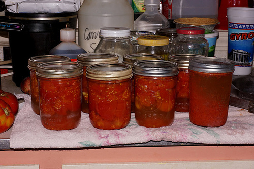 Canned Tomatoes