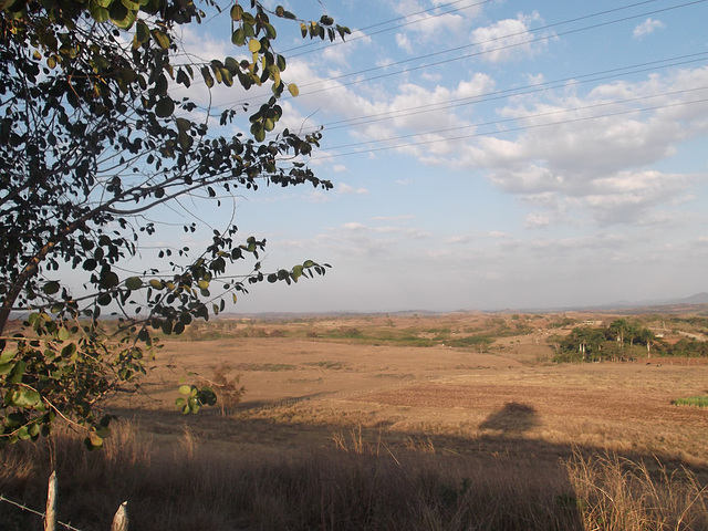 Paysage cubain / Paisaje cubana.