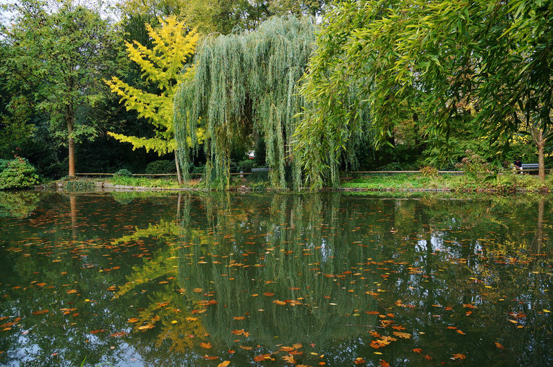 Im Schöntal - der Herbst hat Hochkonjunktur