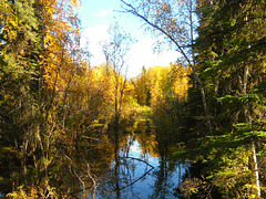 Autumn on the slough