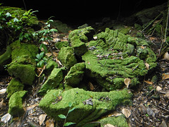 Moss covered rubble