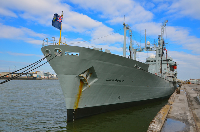 RFA GOLD ROVER in Dublin