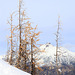 Heather Pass