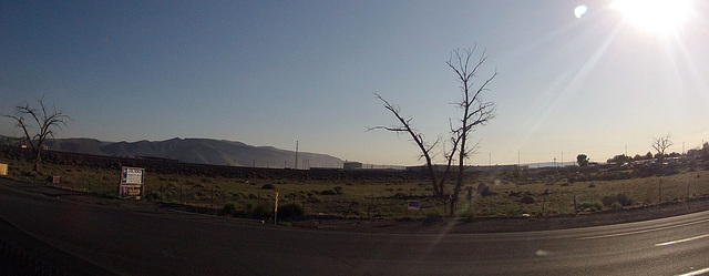 Still In Fernley (0003)