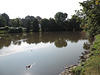 Alltenburg - Kleiner Teich