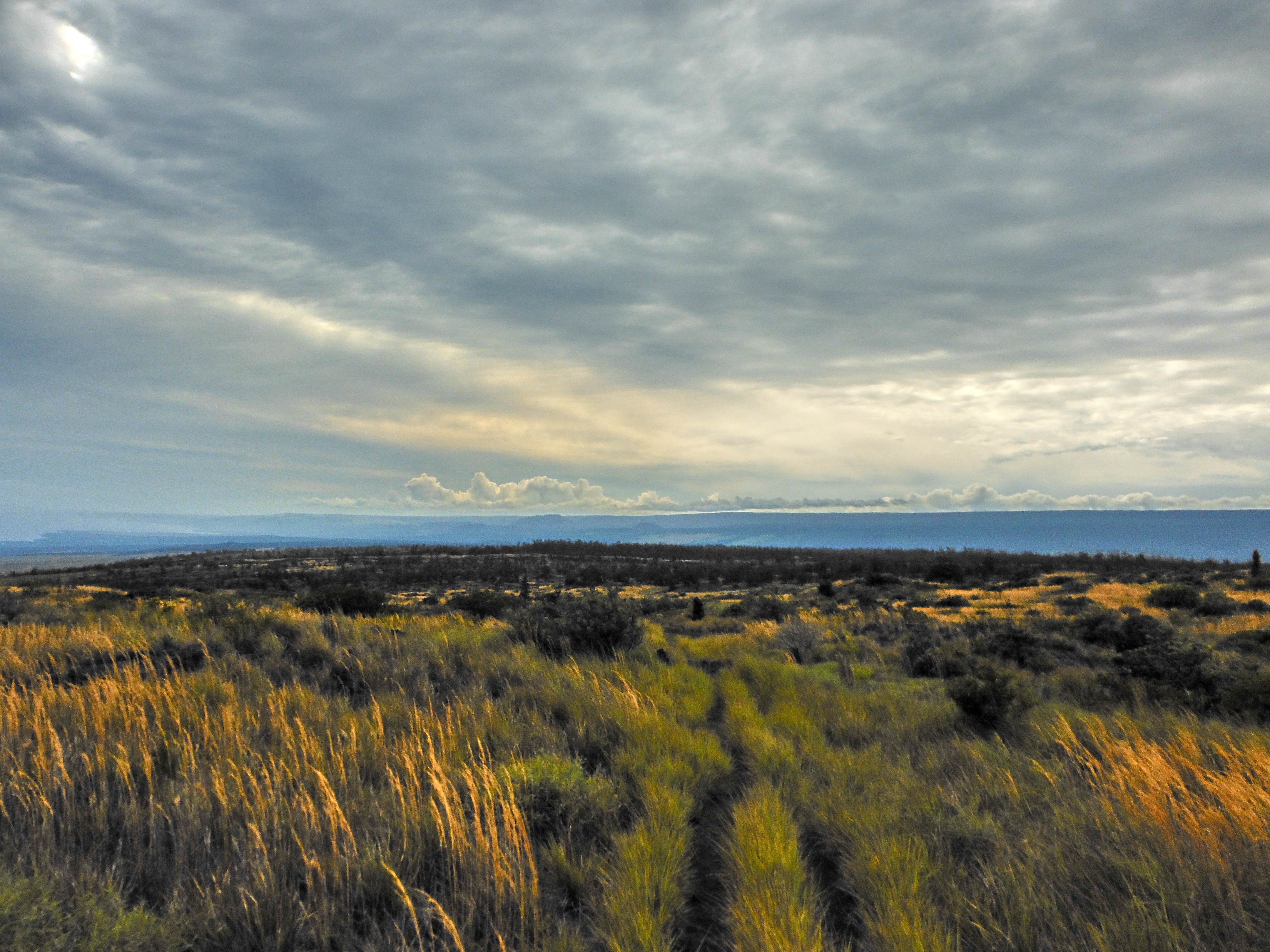 Sky, sea, and grasslands