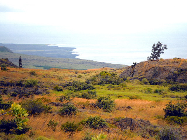 Distant lava flows into the Pacific