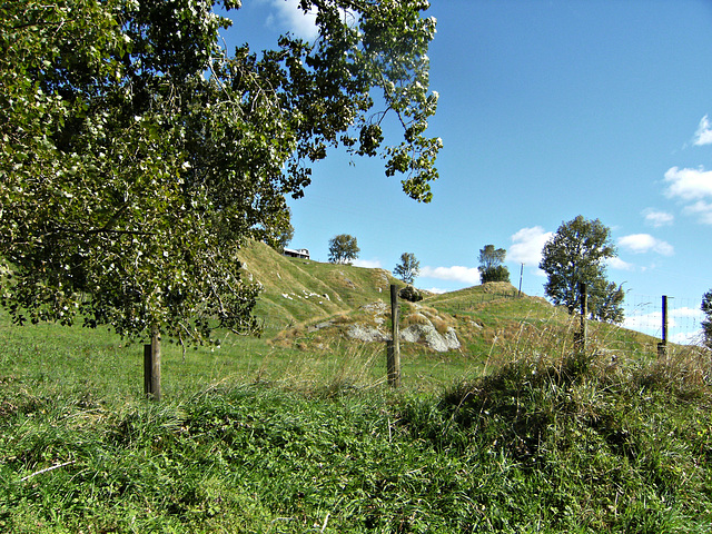 Sunny day landscape